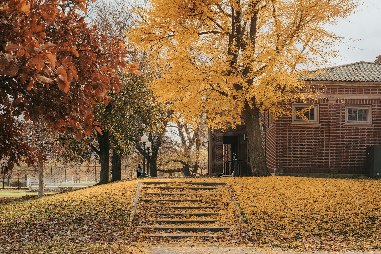 Why Fall Is the Best Time to Reevaluate Your Renters Insurance Policy