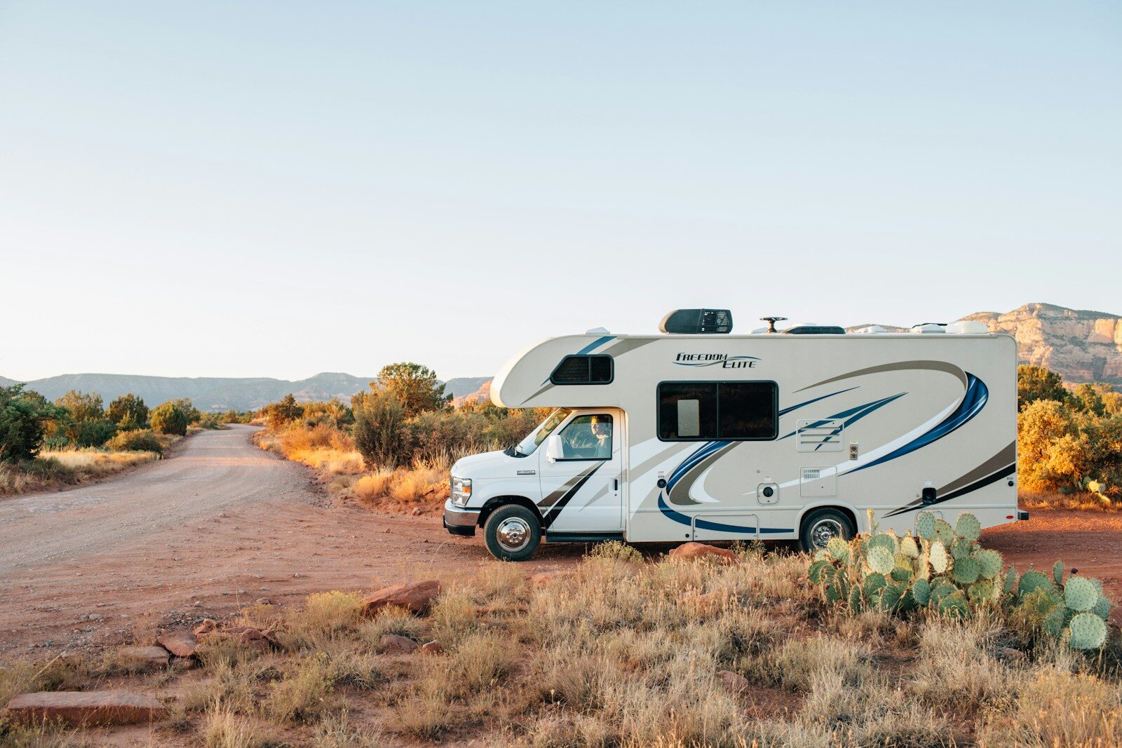 Why Rodent Damage Is a Major Insurance and Maintenance Issue for RV Owners